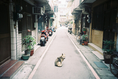 生活在日本