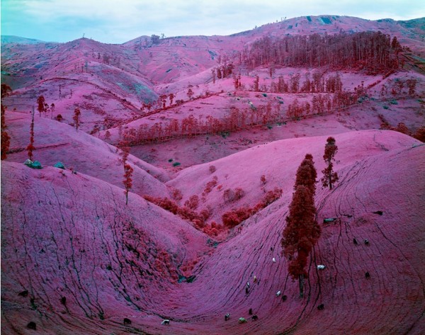 摄影师理查德莫斯（Richard Mosse）来自爱尔兰，2008年取得耶鲁大学摄影硕士学位。2010年，他来到刚果东部，用相机记录下了持续多年的刚果冲突。这组照片很特别，因为他用的是柯达红外线反转胶卷（Aerochrome），整组照片呈现了一种玫瑰般的色彩，这种梦幻的感觉似乎将冲突中激烈紧张的状况抽离在了照片之外。