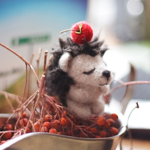 hedgehog&gt;&gt;cherry falling down