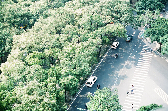 光怪陆离的城市
