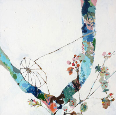 蛛与花。（from Jen Garrido）