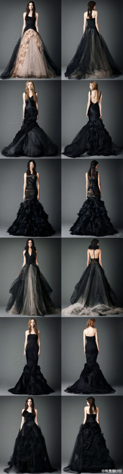 vera wang 最新季