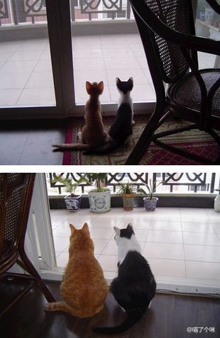 我能想到最浪漫的事就是和你慢慢变胖