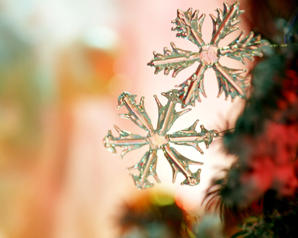 雪花