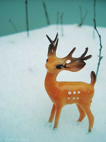 snow deer