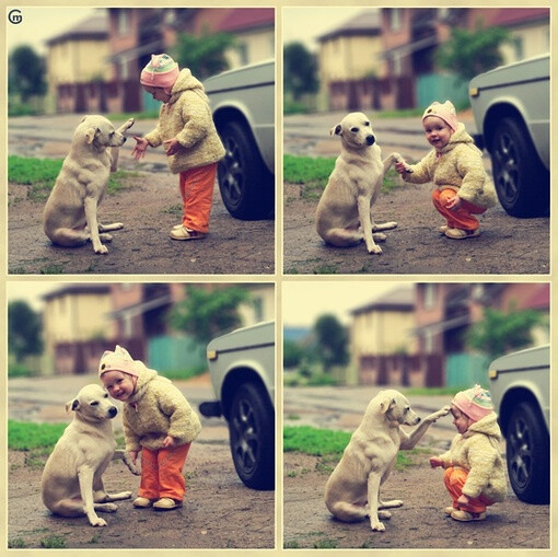 friends