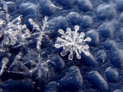 摄影师的技巧也很棒。雪花效果很好。