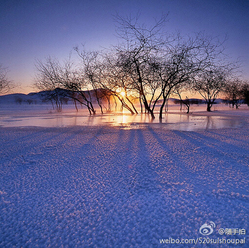 雪花冰雕落叶梅花