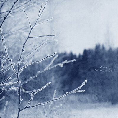 雪的世界-By PotaPova-Of Winter