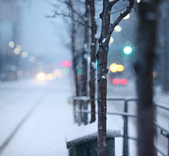 雪的世界-By Mute-題目：Spadina in the snow.