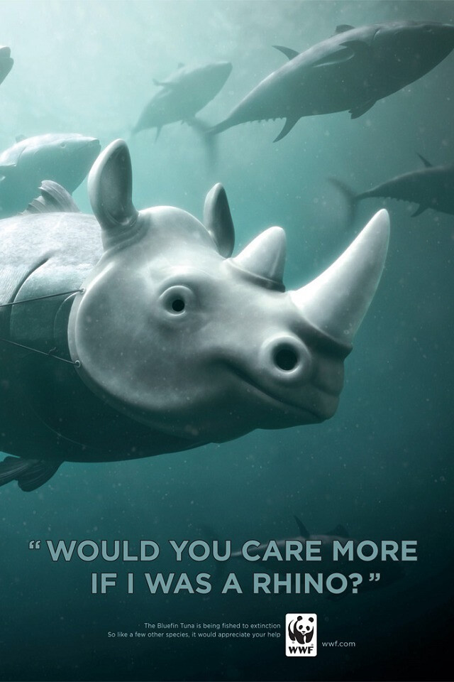 WWF Bluefin Tuna overfishing : Rhino 呼籲停止過度捕獵藍鰭金槍魚：”如果我是犀牛，你們會更珍惜我嗎？“