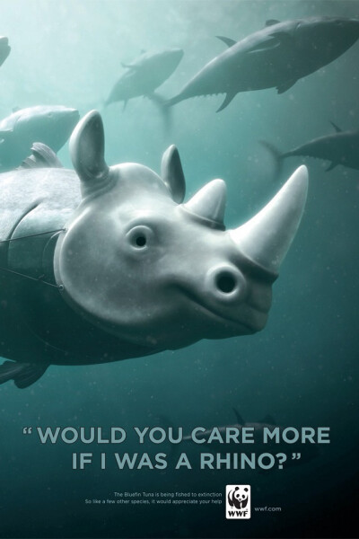 WWF Bluefin Tuna overfishing : Rhino 呼籲停止過度捕獵藍鰭金槍魚：”如果我是犀牛，你們會更珍惜我嗎？“