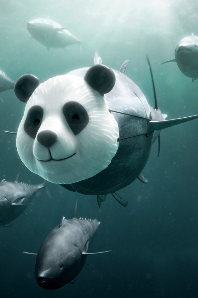 WWF Bluefin Tuna overfishing : Panda 呼籲停止過度捕獵藍鰭金槍魚：”如果我是熊貓，你們會更珍惜我嗎？“