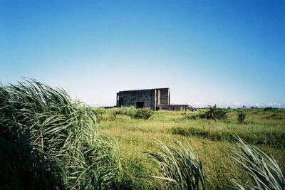 那年夏天，风很大，草很青，我很开心，你很好看