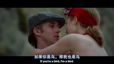 THE NOTEBOOK，催泪弹。喜欢瑞秋麦克亚当斯，笑得好美