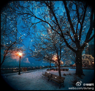 诞夜，一起走在雪地上，该是多么浪漫