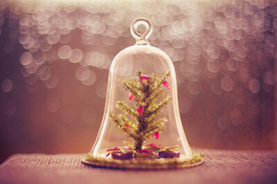 可爱的小圣诞树