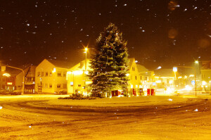 "Roundabout the christmas tree