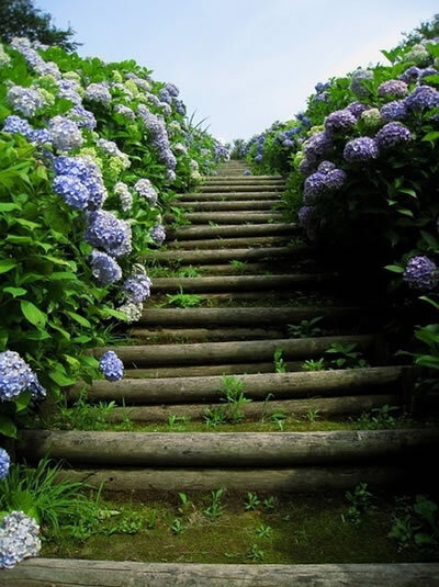 长长的路，要慢慢地走