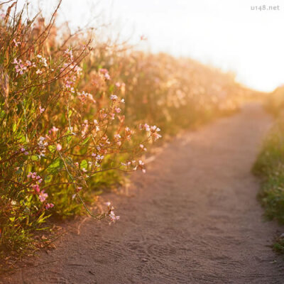 长长的路，要慢慢地走