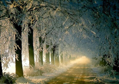 长长的路，要慢慢地走