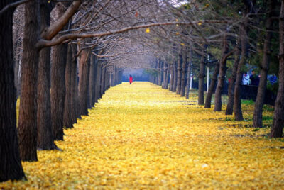 长长的路，要慢慢地走