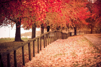 长长的路，要慢慢地走