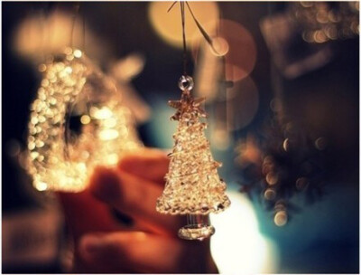 小小的水晶圣诞树滋润了谁的心间