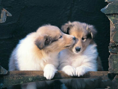 lovely kiss