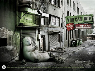 You can help. Stop global warming.无家可归北极熊篇 - WWF全球暖化公益