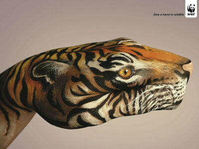 Give a hand to wildlife彩绘老虎篇 - WWF动物保护公益