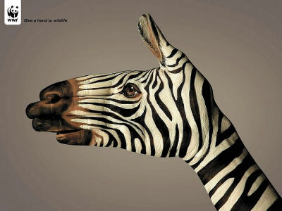 Give a hand to wildlife 彩绘斑马篇 - WWF动物保护公益