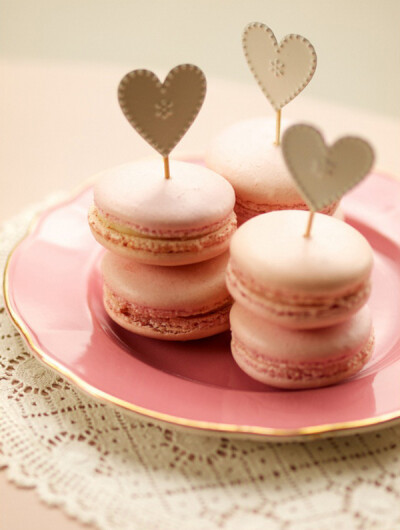 By CharlotteGriffiths-题目：Vintage Macarons（粉色马卡龙）