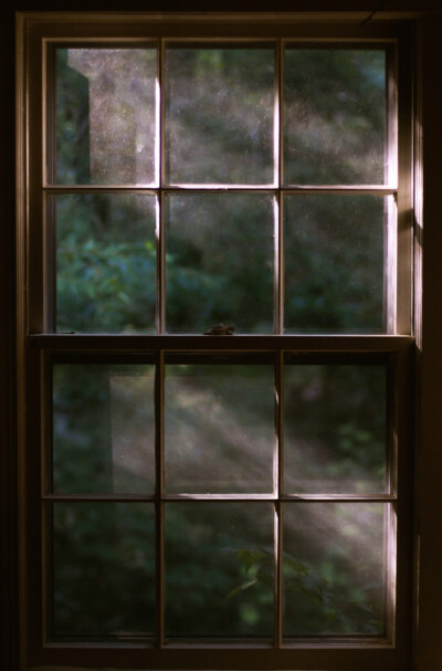 一窗之隔-By TimRobison-题目：A little summer window.