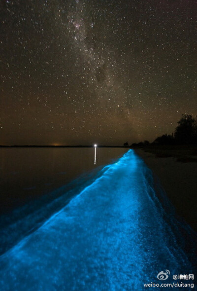 美妙的星空，平安夜的今晚，你和谁走在一起呢