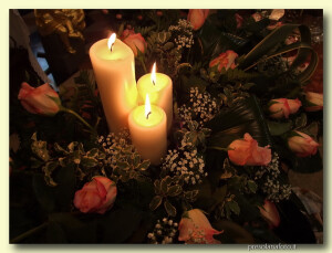  "Merry Christmas and Happy New Year"