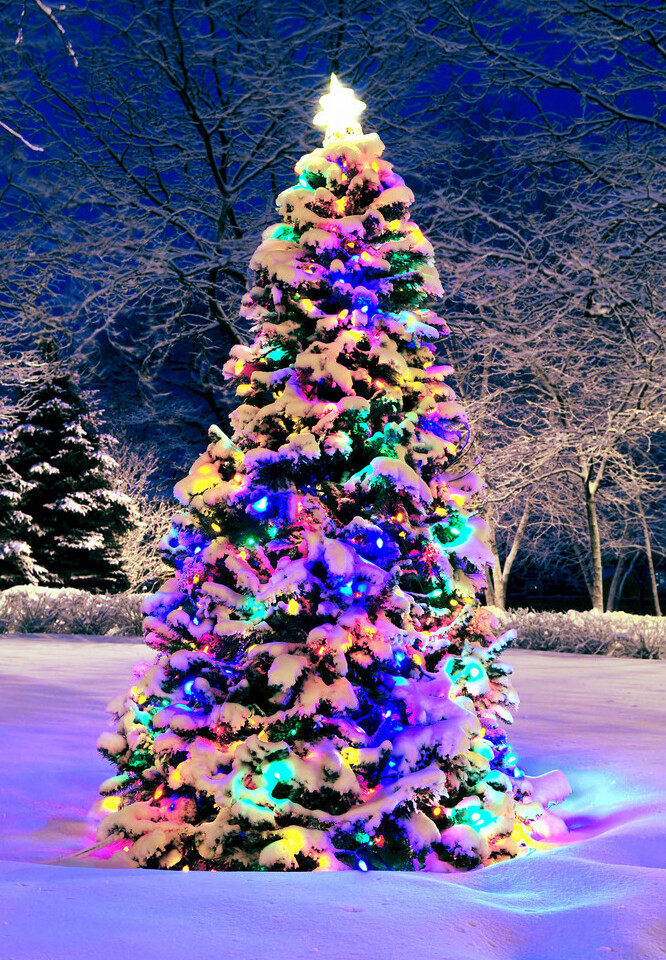 圣诞树 彩灯 雪景 夜景