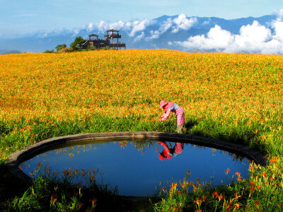 花蓮金針山