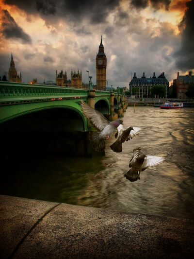 London birds | bridge, hdr, wharf, London