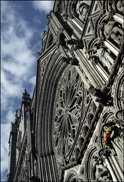 alive wreath | cathedral, Trondheim, Norway