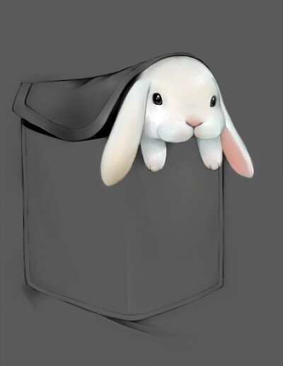 <兔耳控>兔几！乃知8知道乃多萌！