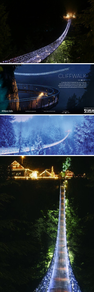 加拿大Capilano吊桥