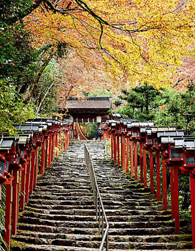 京都最神秘的巫女红叶园