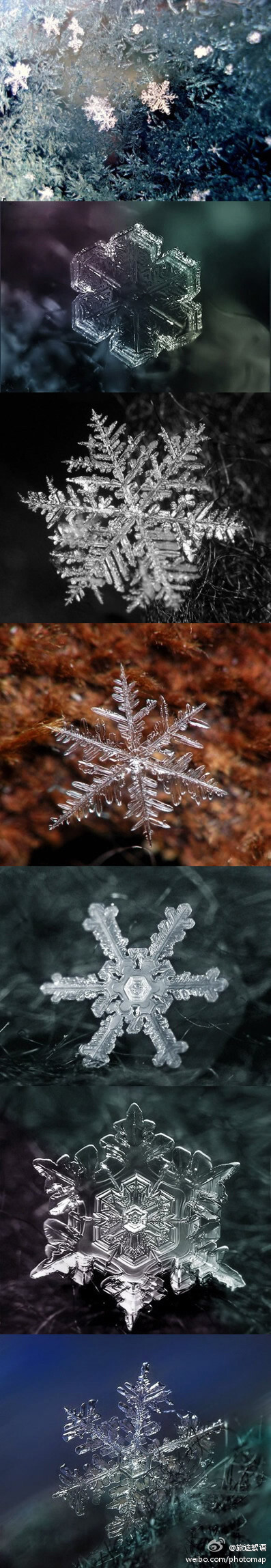 它们是雪花，每一个都是精致的雕刻品，来自大自然的神作，美到不行！