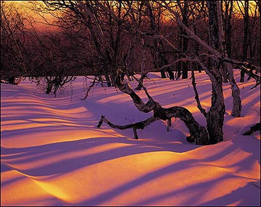 长白山雪景。