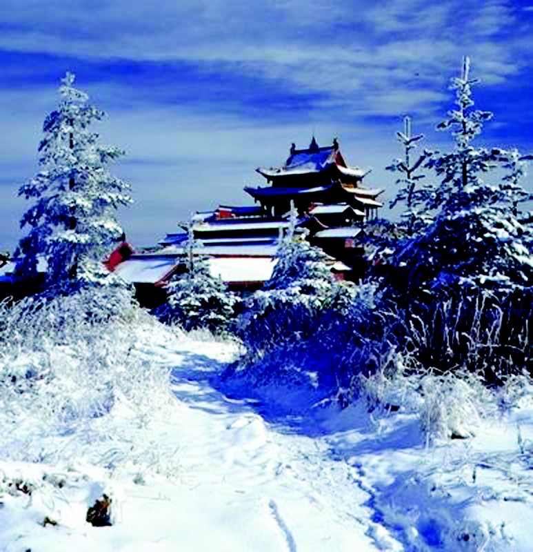 龙门石窟的雪景。