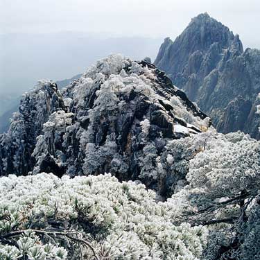 黄山雪景。