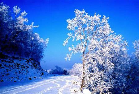 五大连池的雪景。