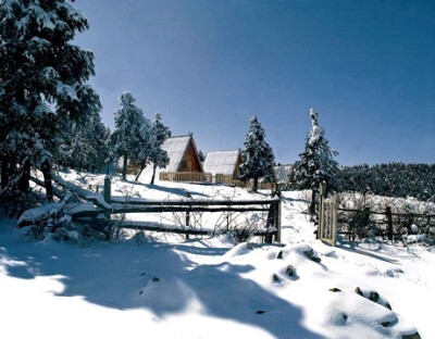 仙女山雪景。