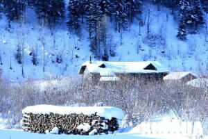 雪乡国家森林公园雪景。